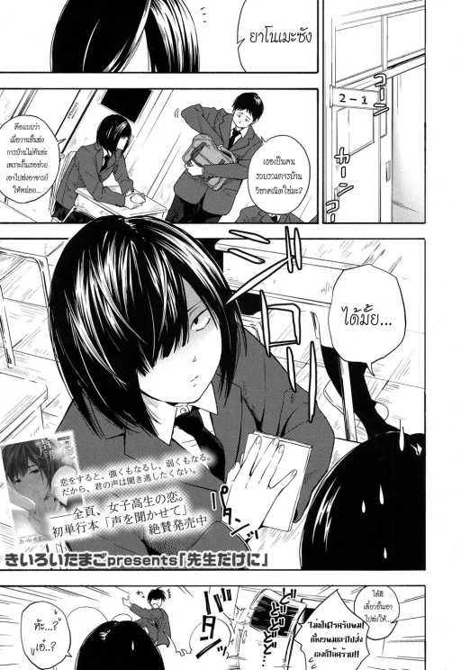 ปก [きいろいたまご] 先生だけに (COMIC 高 2017年9月号) [タイ翻訳] [DL版]