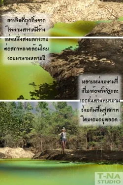 ปก - Swamp Creature