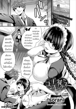 ปก Shujuu Complex Maid.3 (COMIC Europa Vol. 15) [Melody]