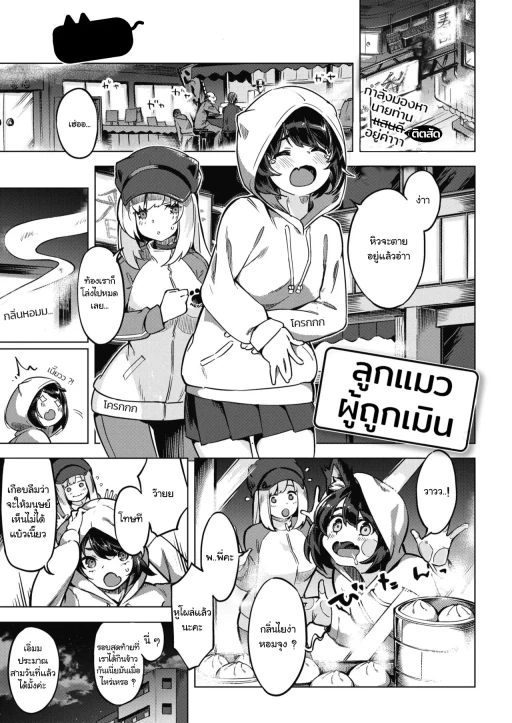 ปก ลูกแมวผู้ถูกเมิน