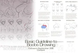 ปก Basic Guideline to Boobs
