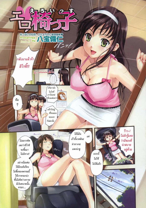 ปก เก้าอี้
