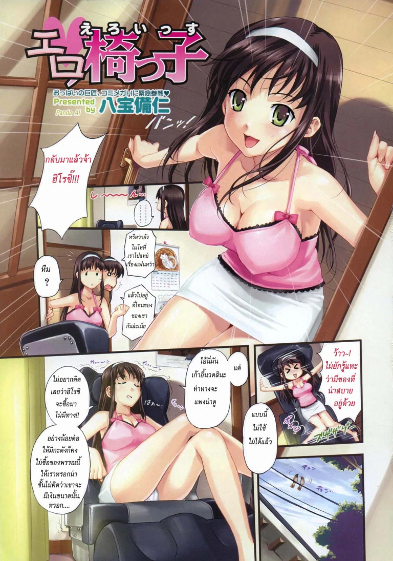 ปก เก้าอี้