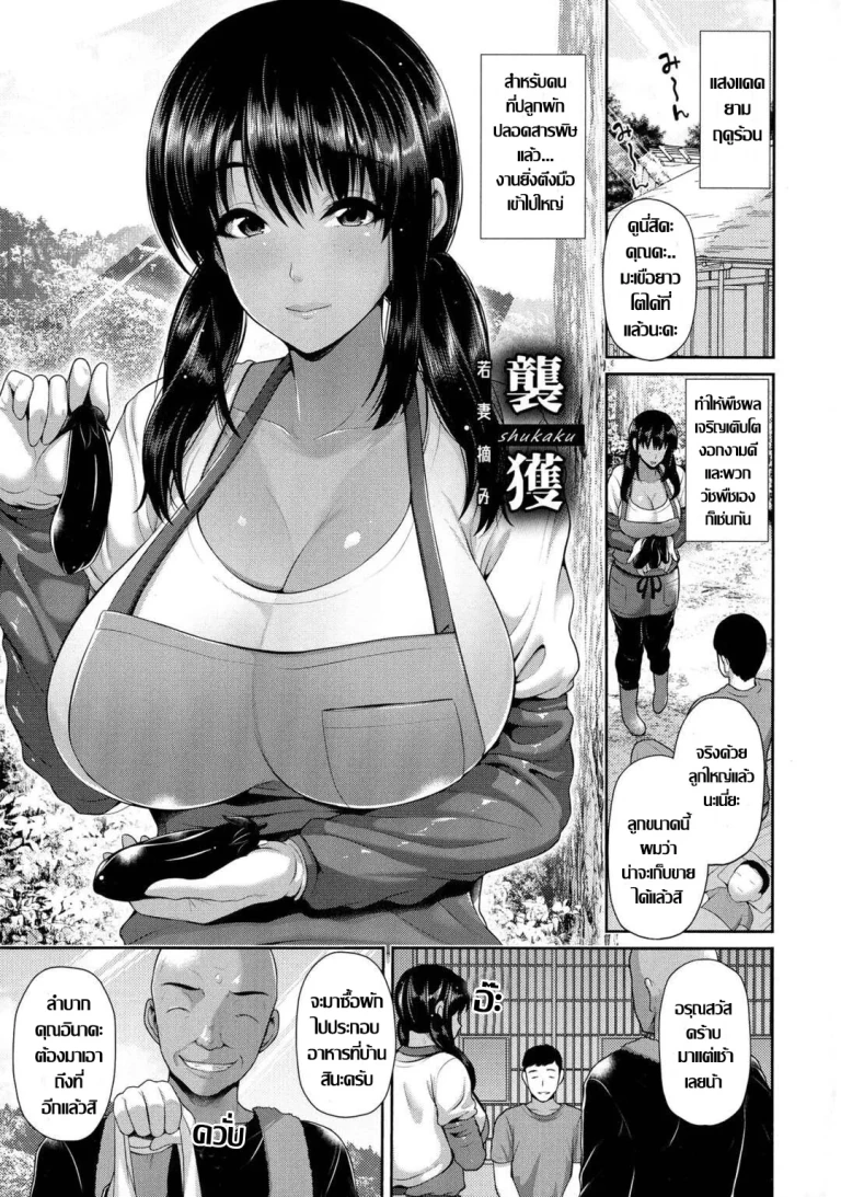ปก ชั้นเชิงขิงแก่ ไม้เด็ดสอยคุณนายสาว