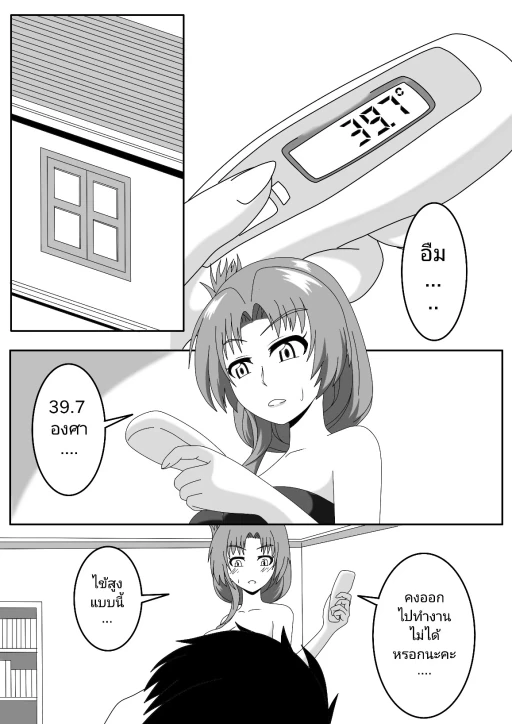 ปก Doujin seele full