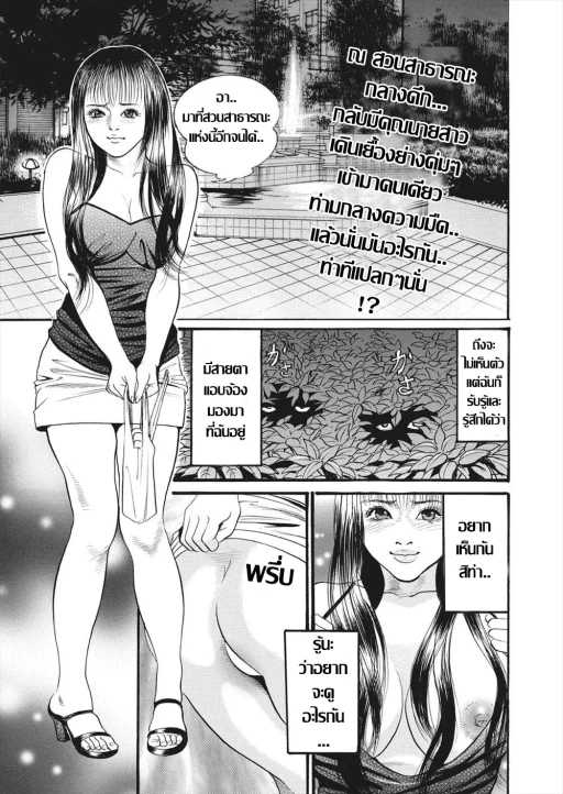 ปก คุณนายของขาด กับค่ำคืนในสวนสาธารณะ