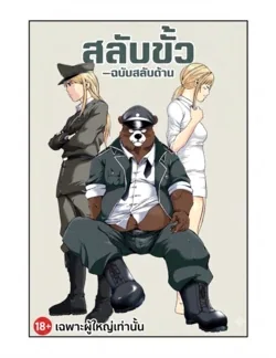 ปก Reversible
