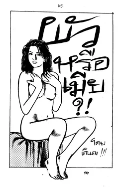 ปก 009