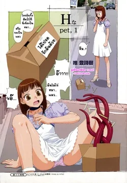 ปก H Pet