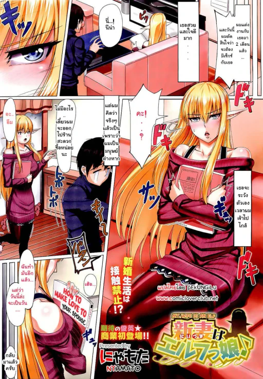 ปก [にゃもた] 新妻はエルフっ娘♪ (コミックメガストア 2011年4月号) [タイ翻訳]