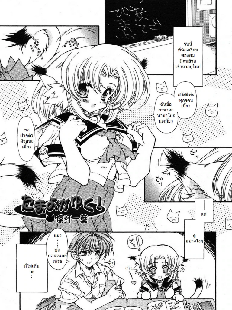 ปก [保汀一葉] たまよがゆく! (COMIC RiN 2005年10月号 Vol.10) [タイ翻訳]