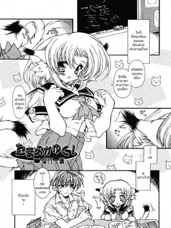 ปก Tamayo ga Yuku! (COMIC RiN 2005-10 Vol. 10) {MSJ}