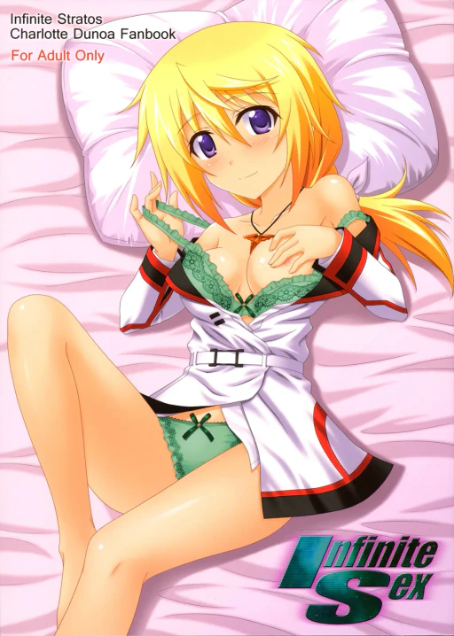 ปก (COMIC1☆5) [黒酢堂 (まさきち)] Infinite Sex (IS＜インフィニット・ストラトス＞) [タイ翻訳]