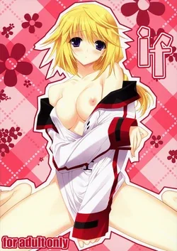 ปก (COMIC1☆5) [HEART WORK (Suzuhira Hiro)] if (IS <Infinite Stratos>) [Sorekara]