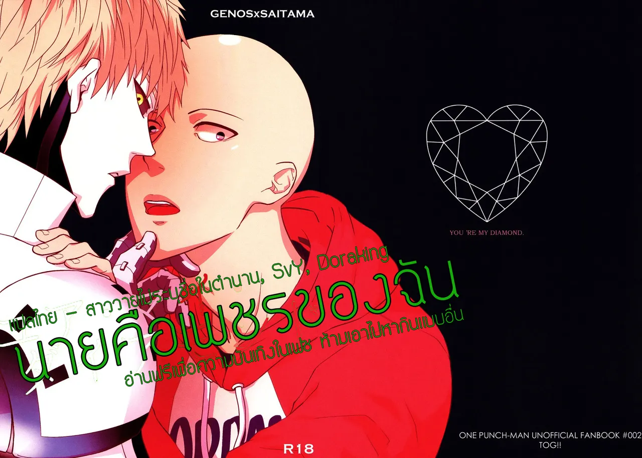 ปก You’re my Diamond – One Punch Man