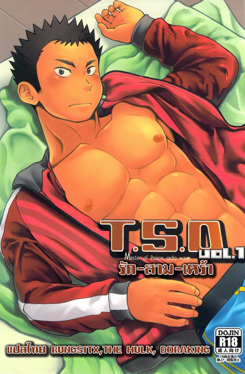 ปก (C84) [Dokudenpa Jushintei (Kobucha)] T.S.D vol. 1